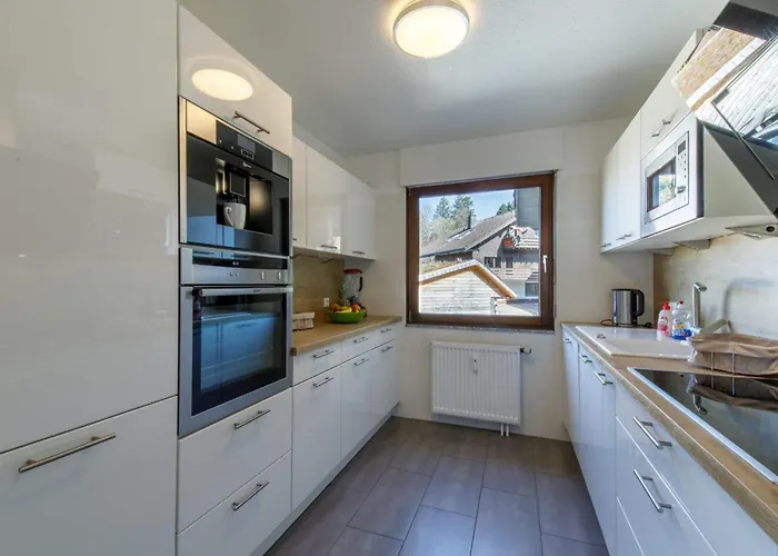 Ferienhaus Am Sauna - Whirlpool - Kamin - Zaun - 20 Personen Feldberg (Baden-Wurttemberg)